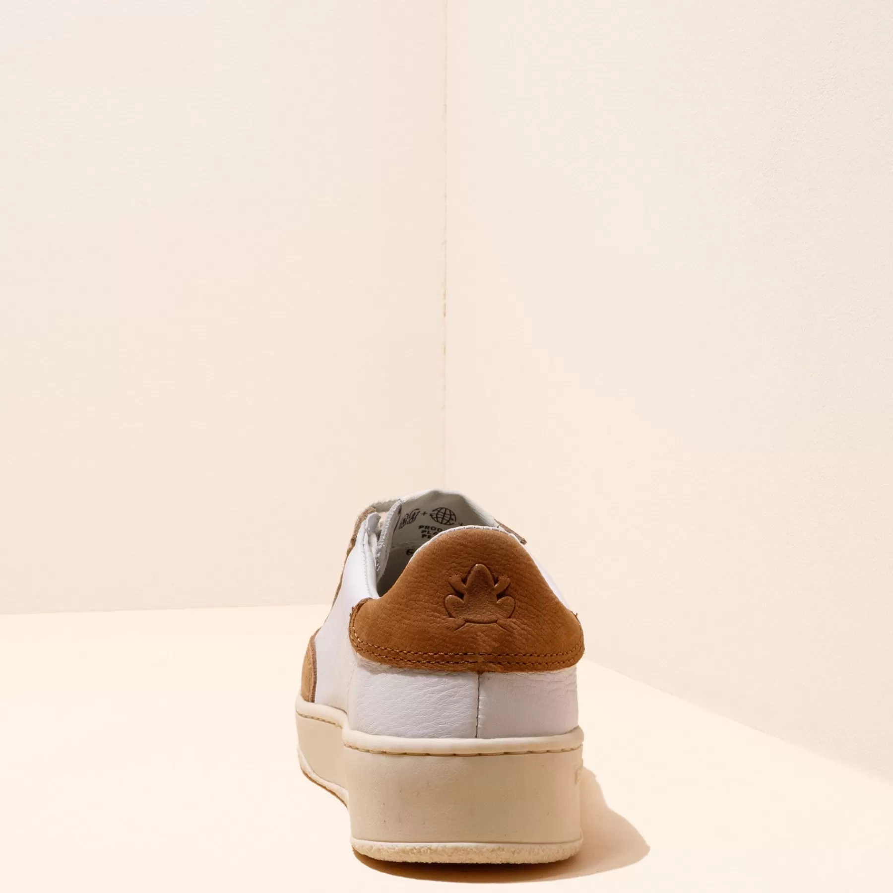 geo_19-3.webp El Naturalista 5842 Geo Hot