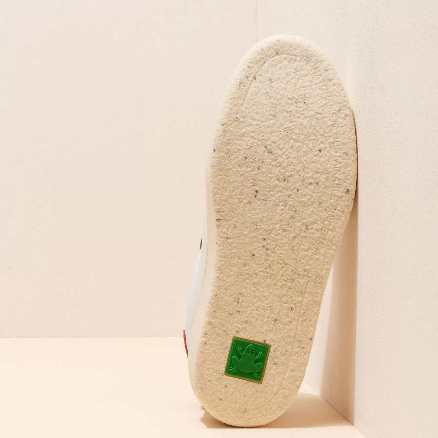 geo_22-2.webp El Naturalista 5842 Geo Hot