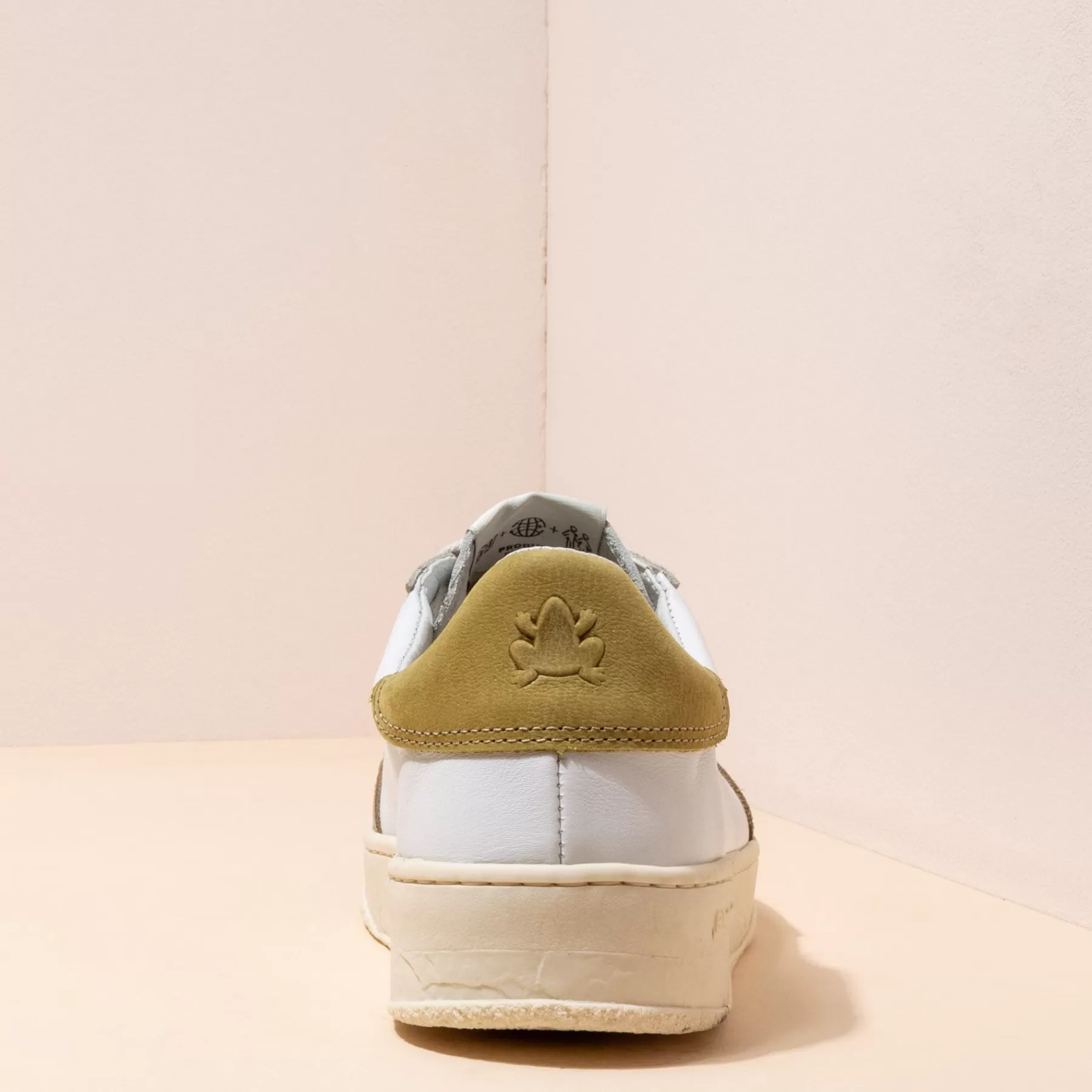 geo_29-2.webp El Naturalista 5842 Geo Hot