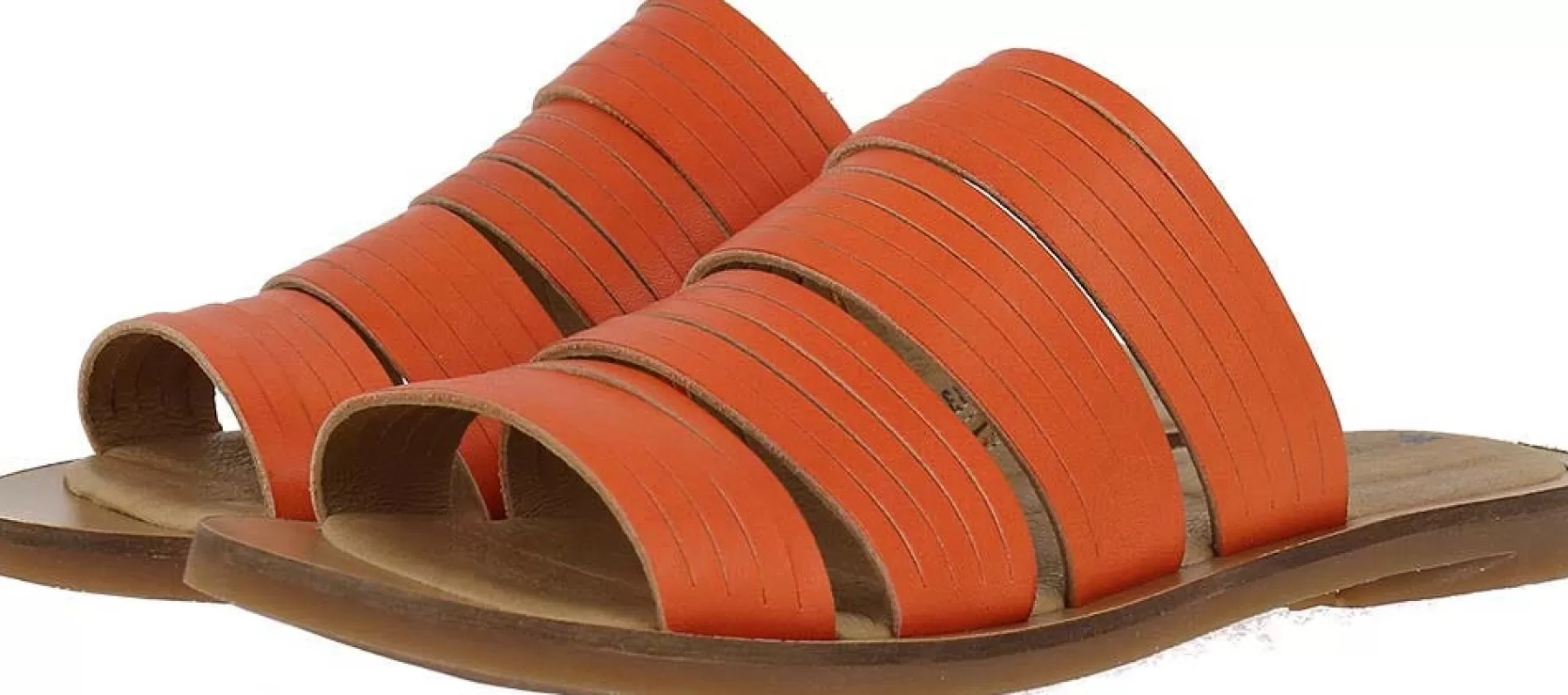 El Naturalista 5183 Tulp Online