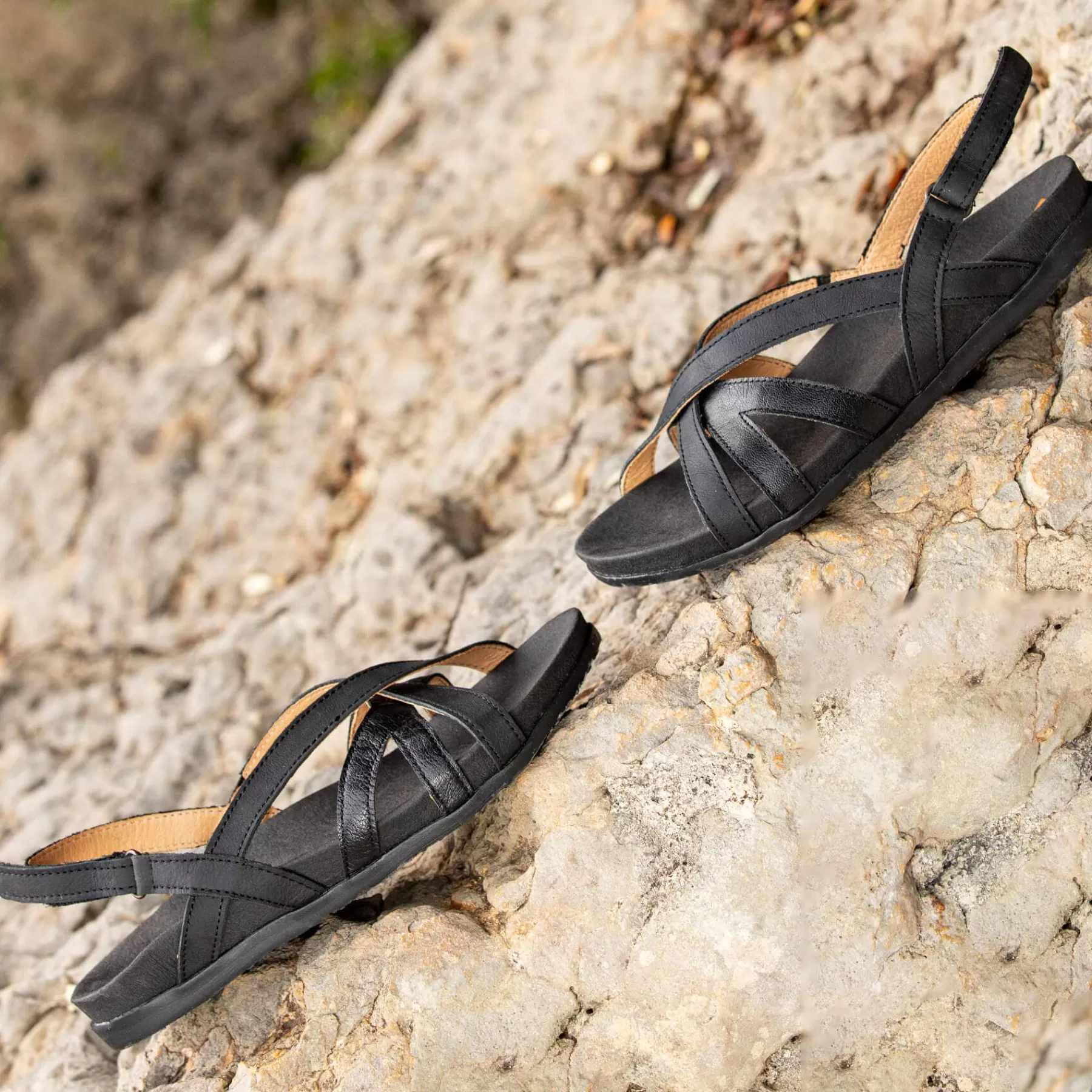 zumaia_13-3.webp El Naturalista 5653 Zumaia Flash Sale